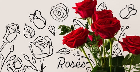Interesting Facts about Roses