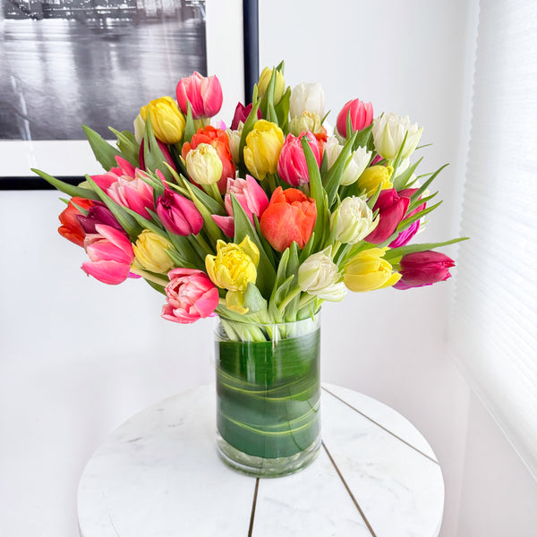 Tulips Double Rainbow