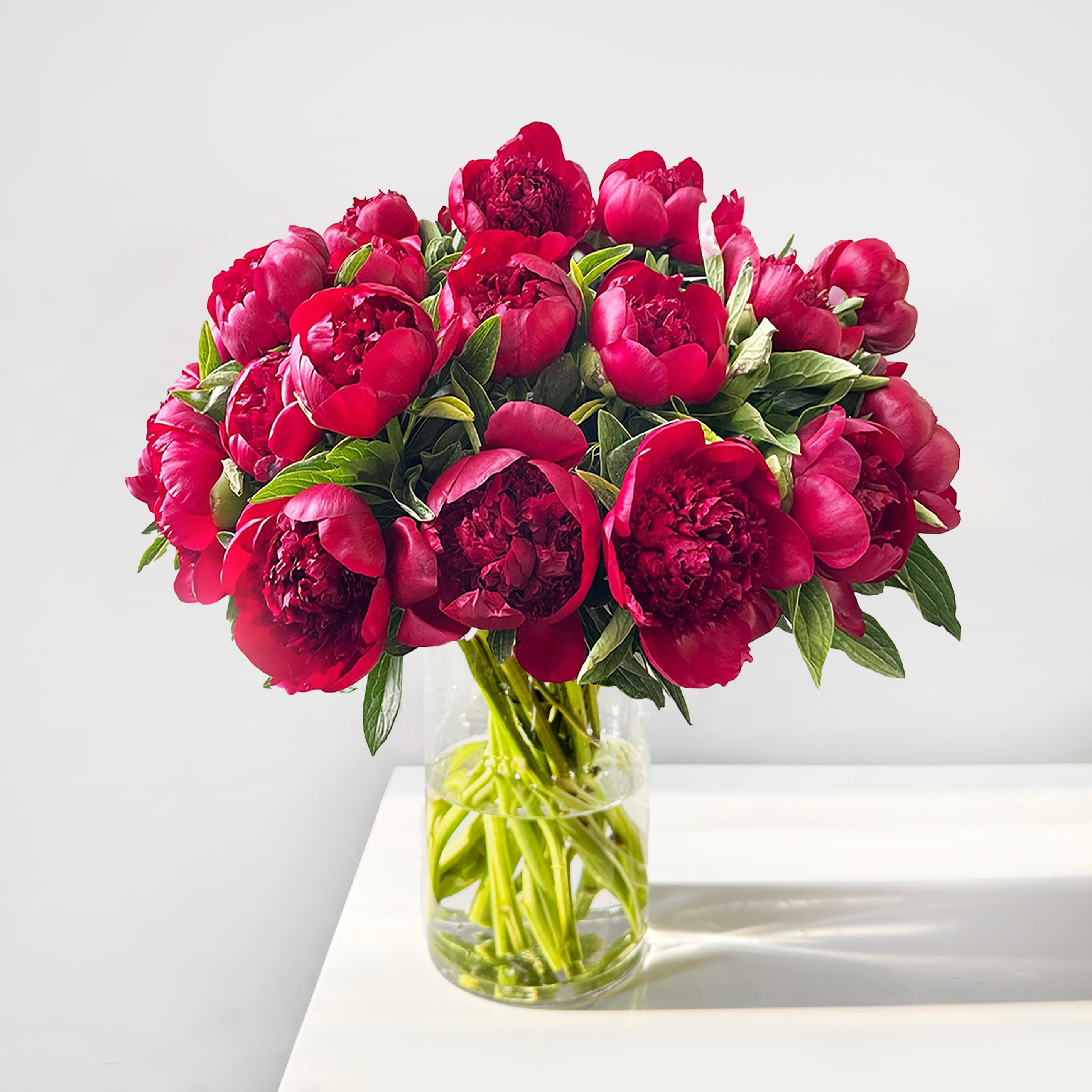 Fresh Peonies