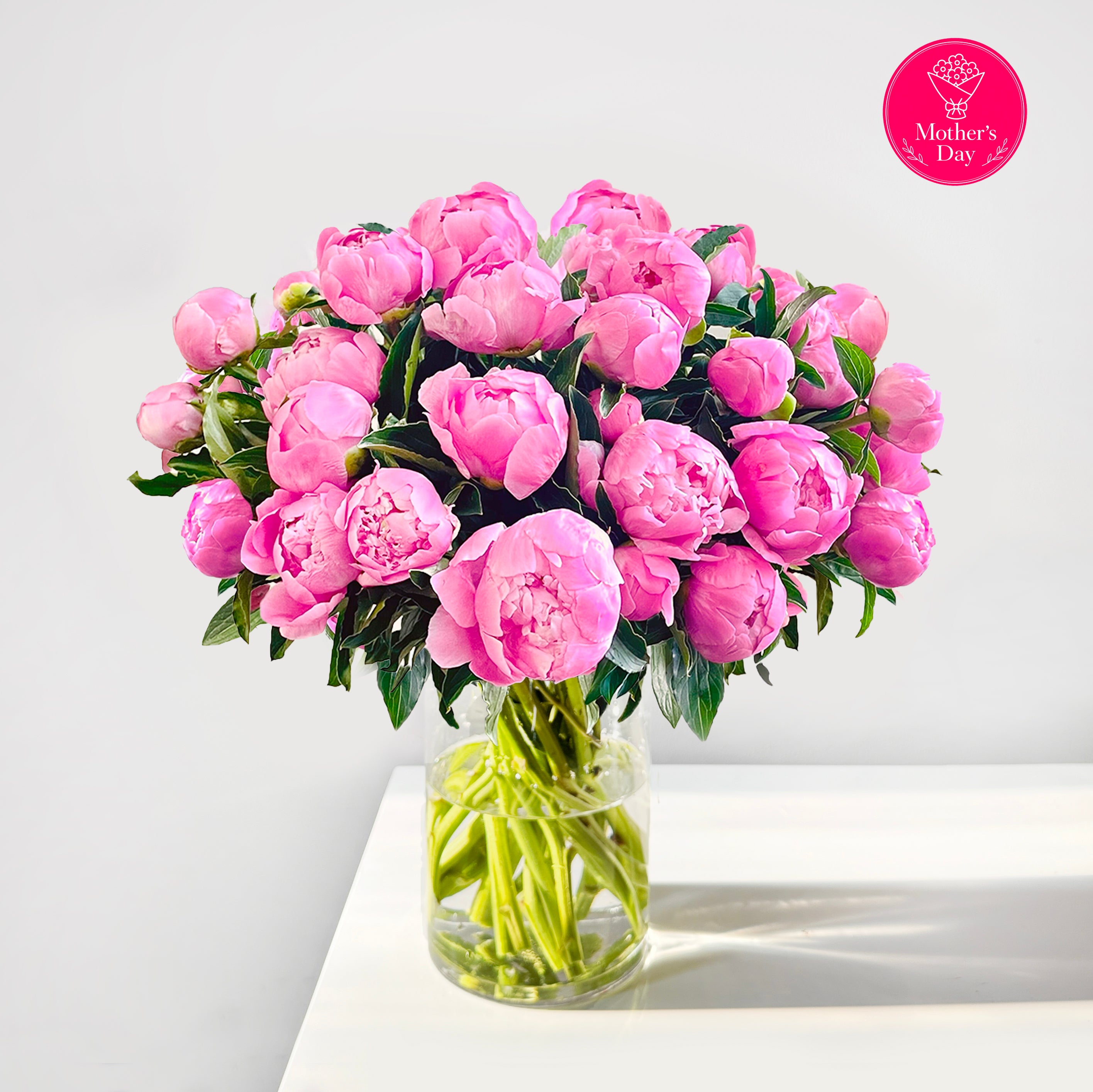 Fresh Peonies