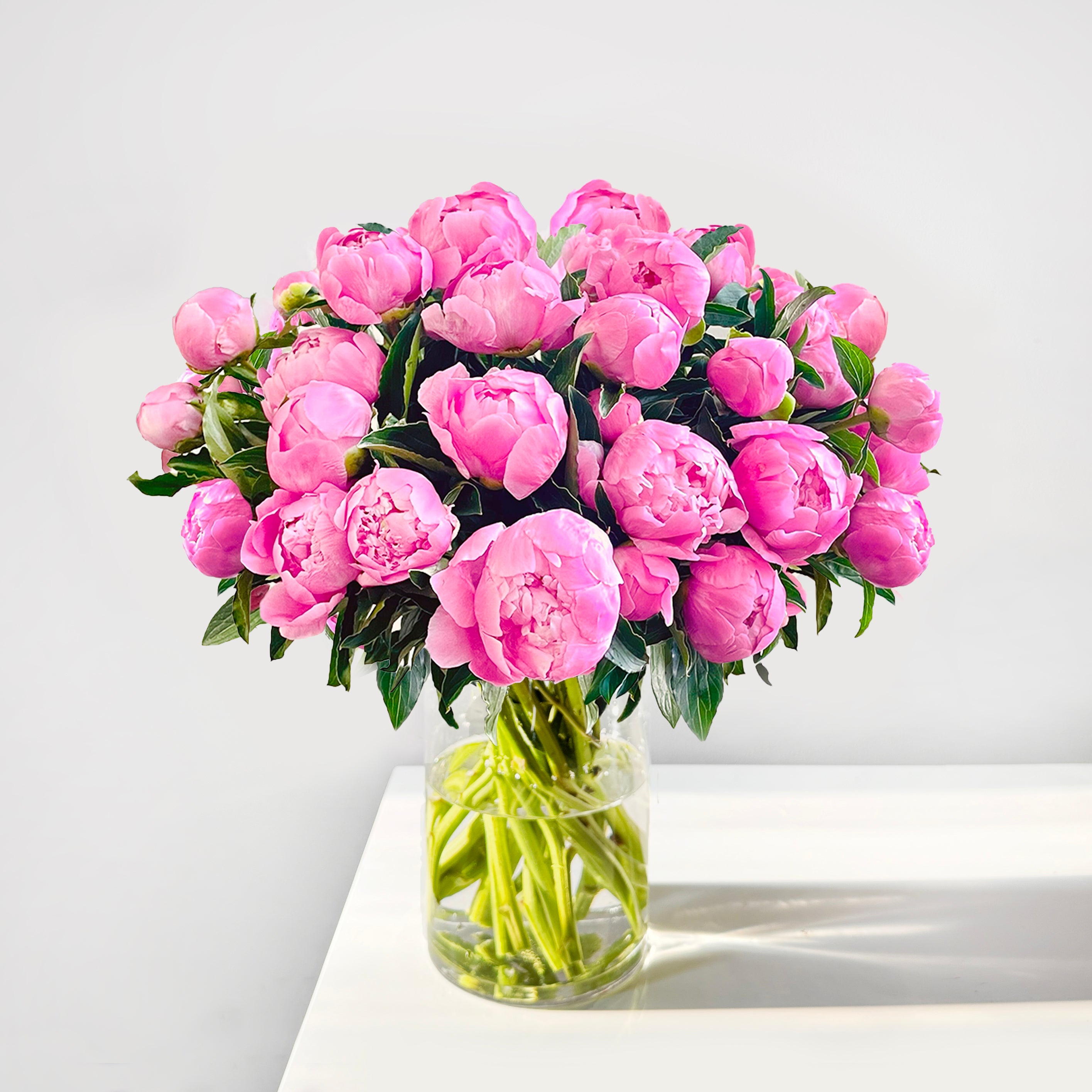 Fresh Peonies