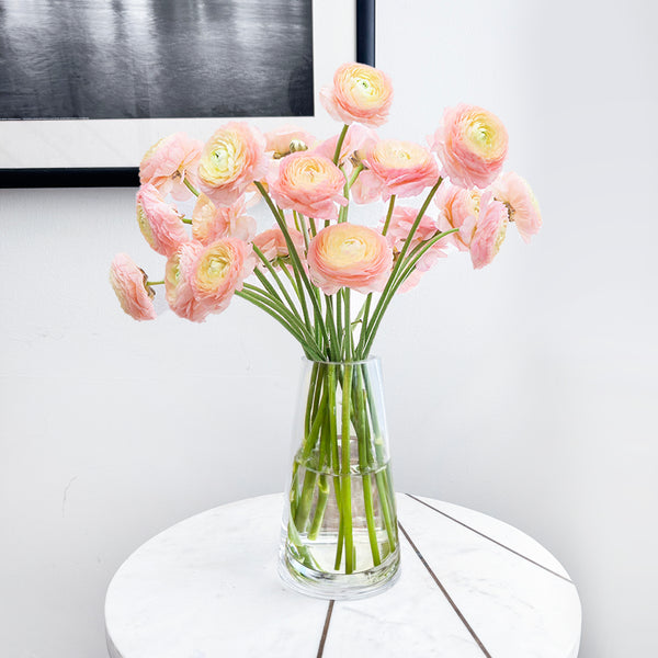 Ranunculus-Peach_grande.jpg?v=