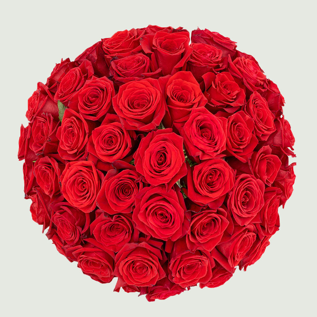 Red Blossom