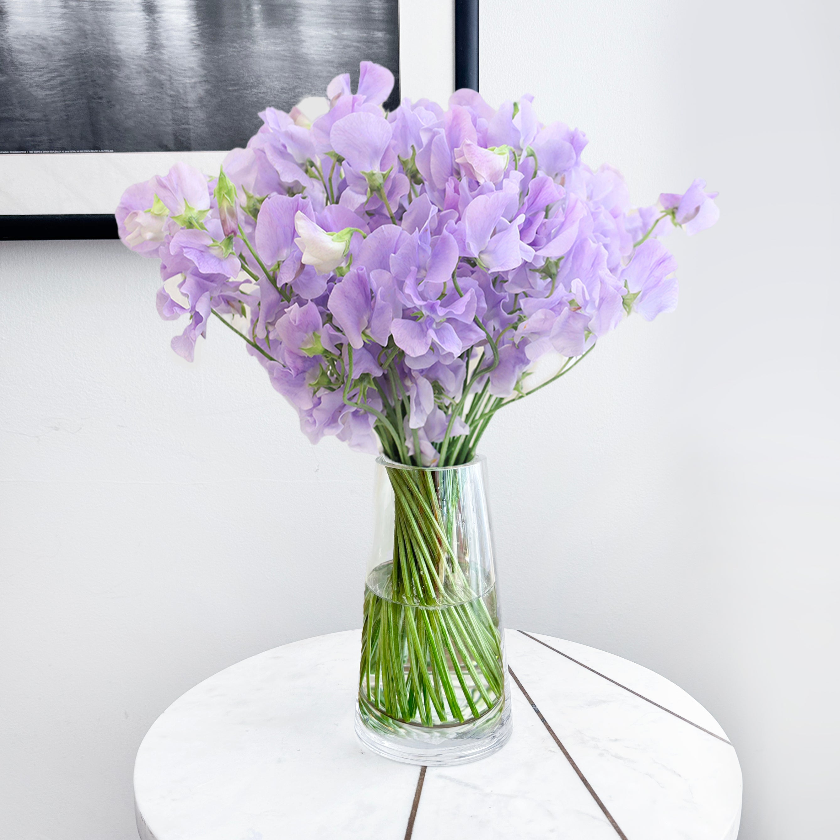Japanese Sweet Peas