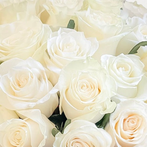 White Blossom