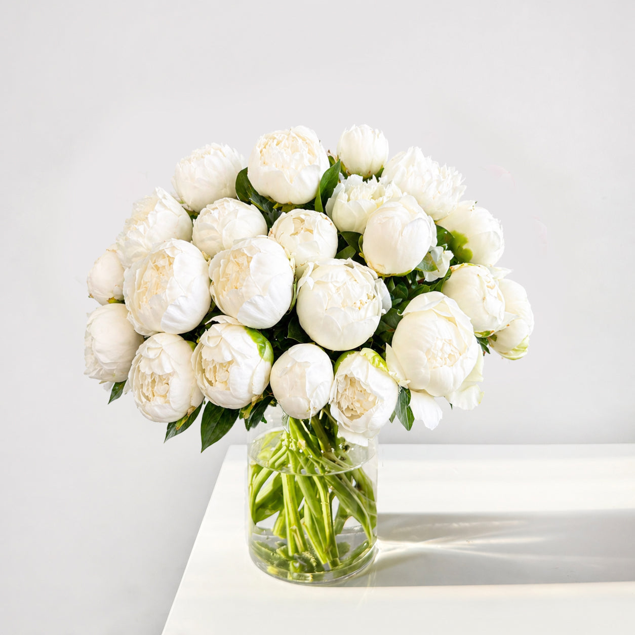 Fresh Peonies