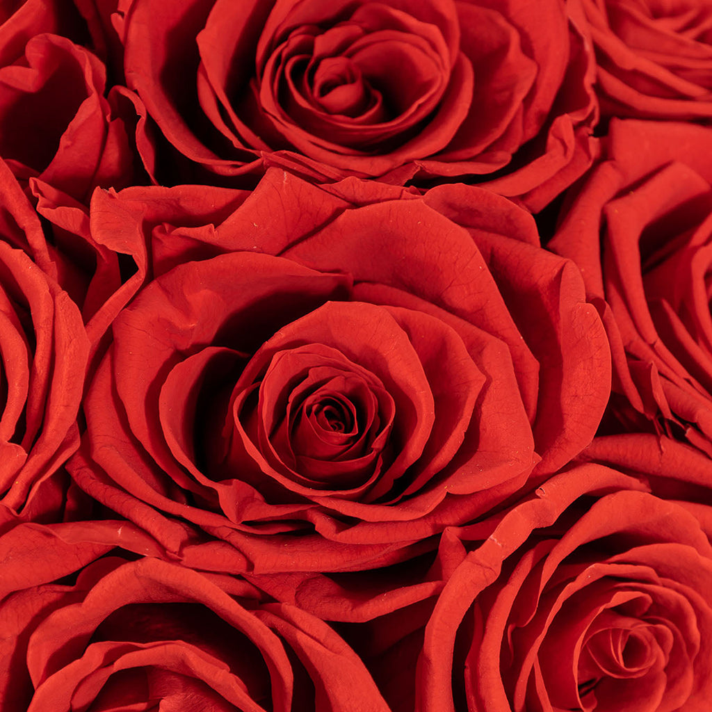 Prserved Roses Emma (Preserved Roses) – Secret Garden Rose